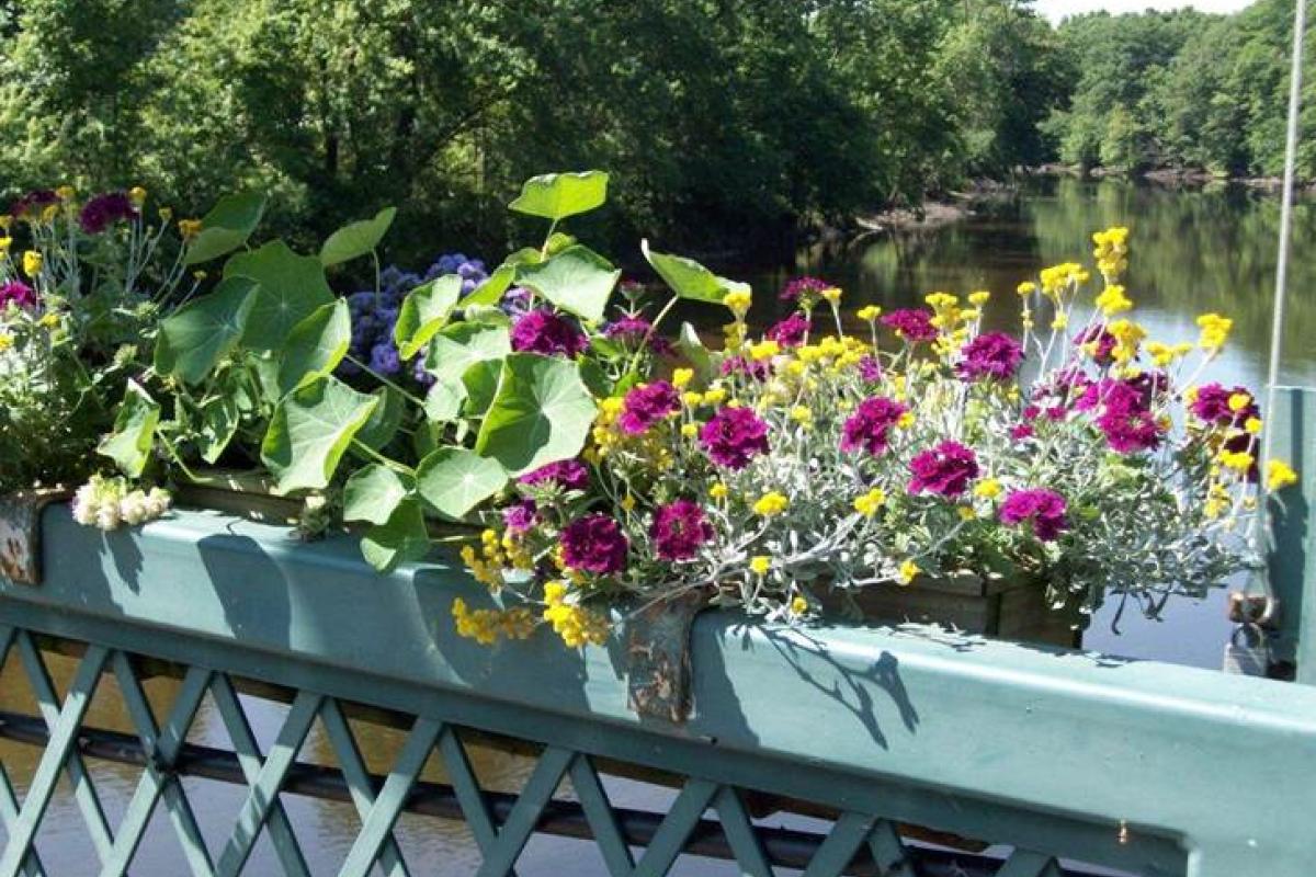 Photo of Flower Box on Drake Hill Flower Bridge - Drake Hill Road