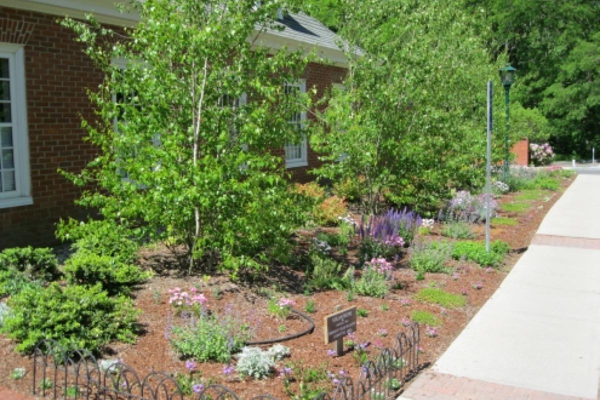 Photo of Early Spring Library Garden at Simsbury Public Library