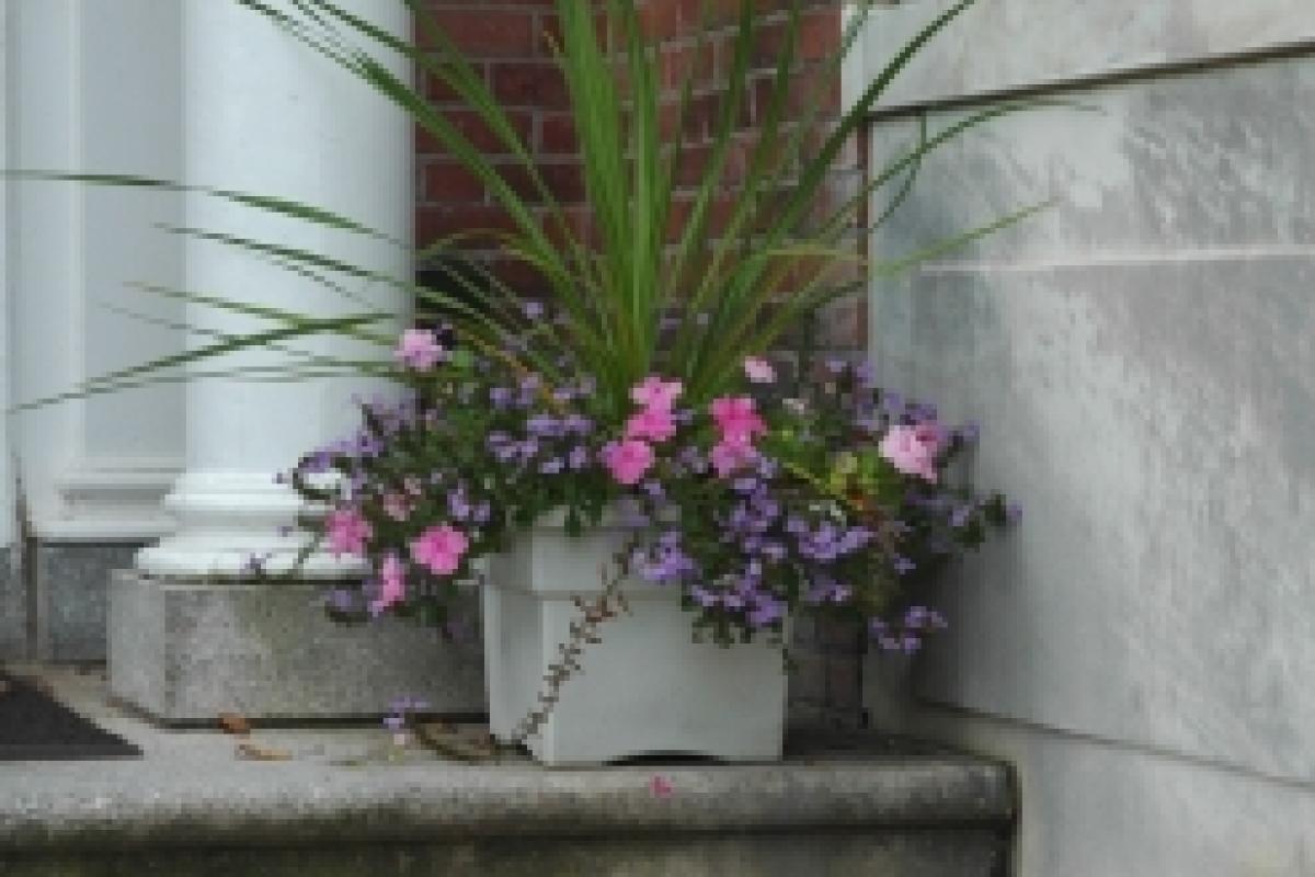 Photo of Eno Hall planter
