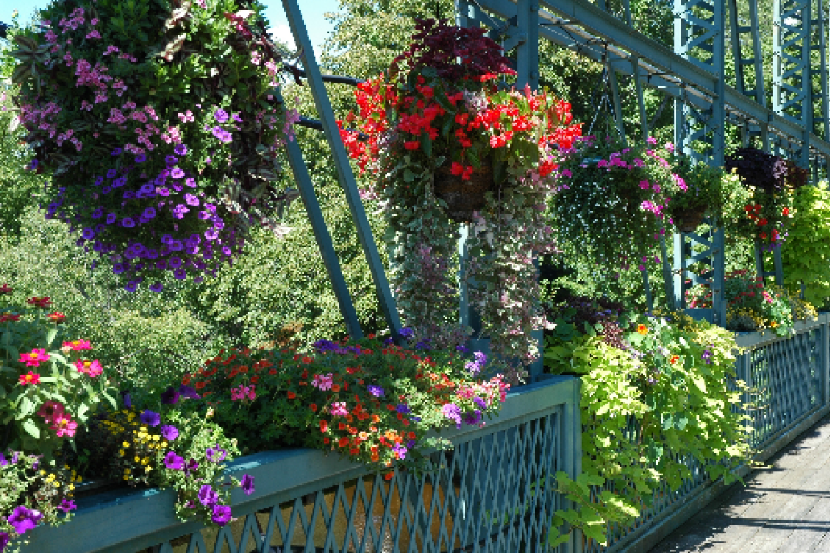 Photo of Flowers, Flowers, Flowers on the Flower Bridge - Drake Hill Road