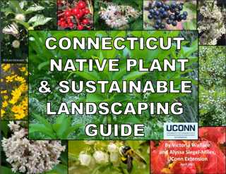 CT Native Plant and Sustainable Lanscaping Guide Cover Photo