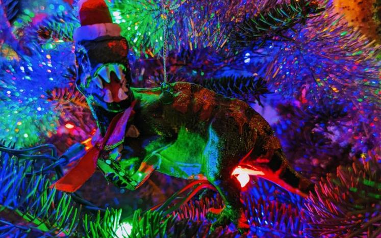 Close up of a Christmas tree with multi-colored lights and a dinosaur ornament